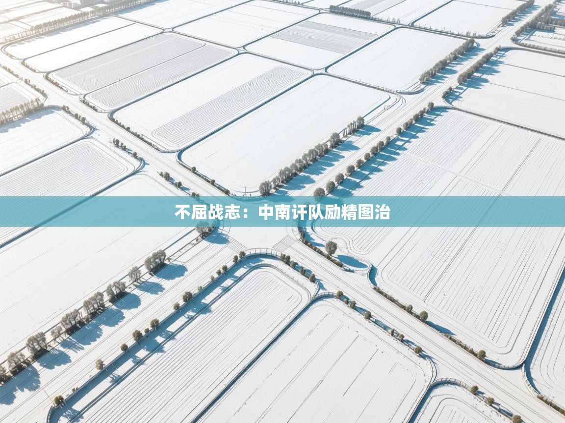 不屈战志：中南讦队励精图治
