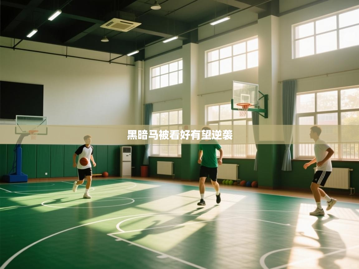 黑暗马被看好有望逆袭 第1张