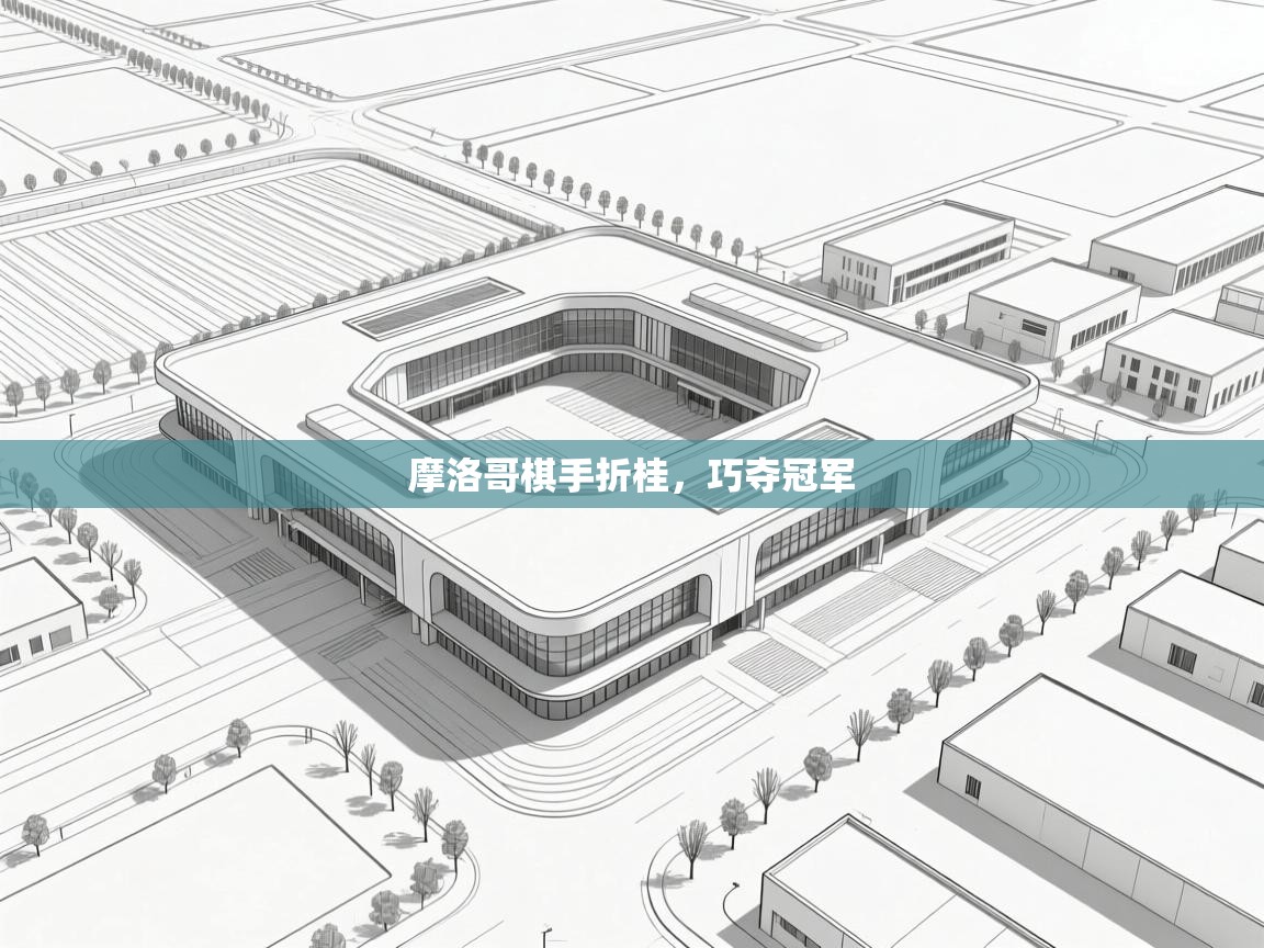 摩洛哥棋手折桂，巧夺冠军